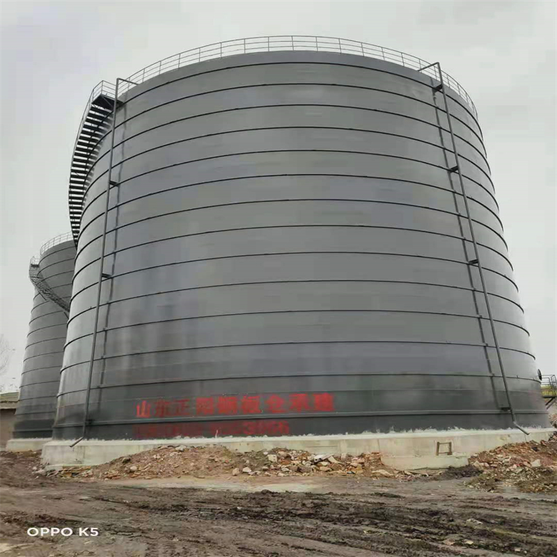 人民路街道3万吨大型钢板库