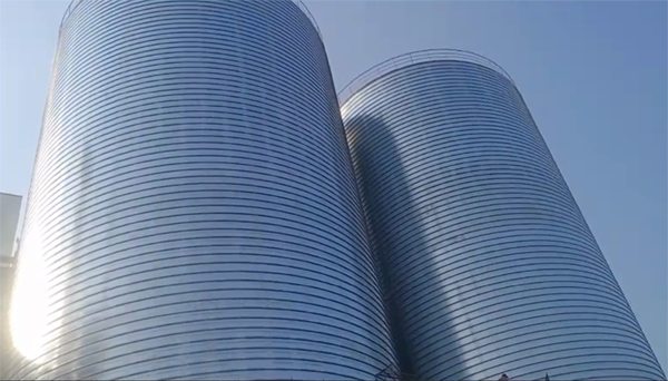 人民路街道2座混凝土高架卷板仓